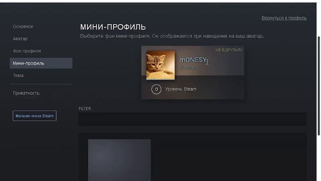 Как добавить друга в стим если у вас уровень 0 смотреть онлайн