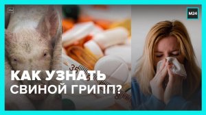 Россиянам объяснили, чем симптомы свиного гриппа отличаются от других сезонных заболеваний