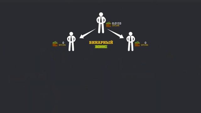 Бинары видео