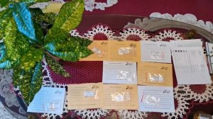 Обзор семян томатов с интернет магазина Томаты Помидоры?