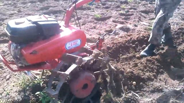 Копка картошки мотоблок Салют 100 смотреть онлайн