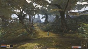 Morrowind M[FR]. (MGE XE) Vs (openMW).