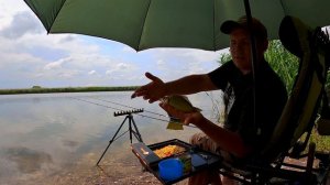 Ловля КАРАСЯ на ФЛЭТ ФИДЕР | РЫБАЛКА на ДИКОМ водоеме