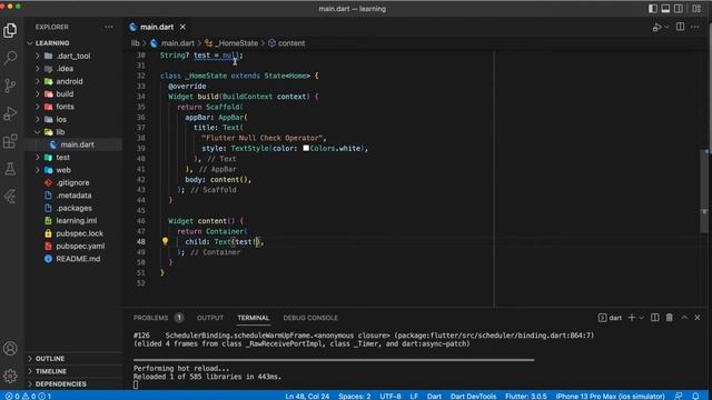 null check operator used on a null value | Flutter