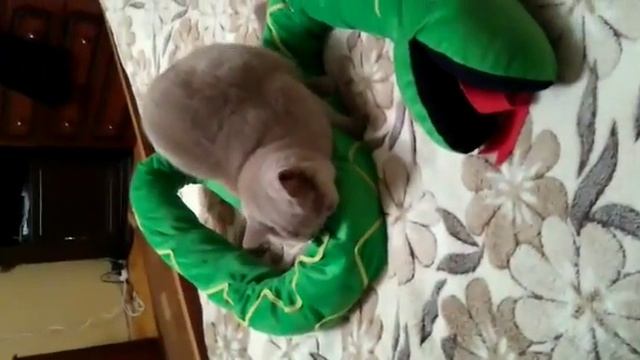 Прием удушение змеи смотреть онлайн