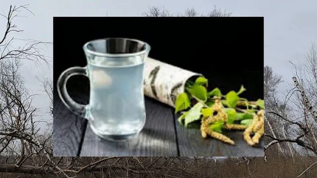 11 апреля народный праздник Берещенье. Марков день. Что нельзя делать. Народные приметы и традиции.
