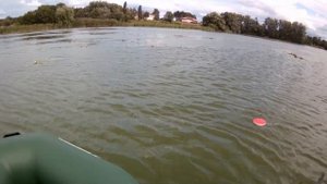 ОКУНЬ Осенью. Рыбалка с лодки . Ловля окуня на живца. рыбалка.