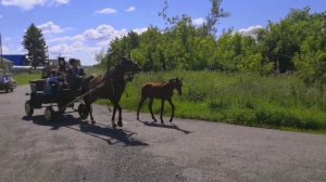 Село ПОПЕРЕЧНОЕ в Куzбассе : День апостолов Петра и Павла - престольный праздник села