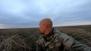 Охота в чистом поле. Утка на убранной пшенице. Охота 2023