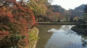 動画　大阪散歩　根来寺を歩く　その２　覚鑁(かくばん）のこと