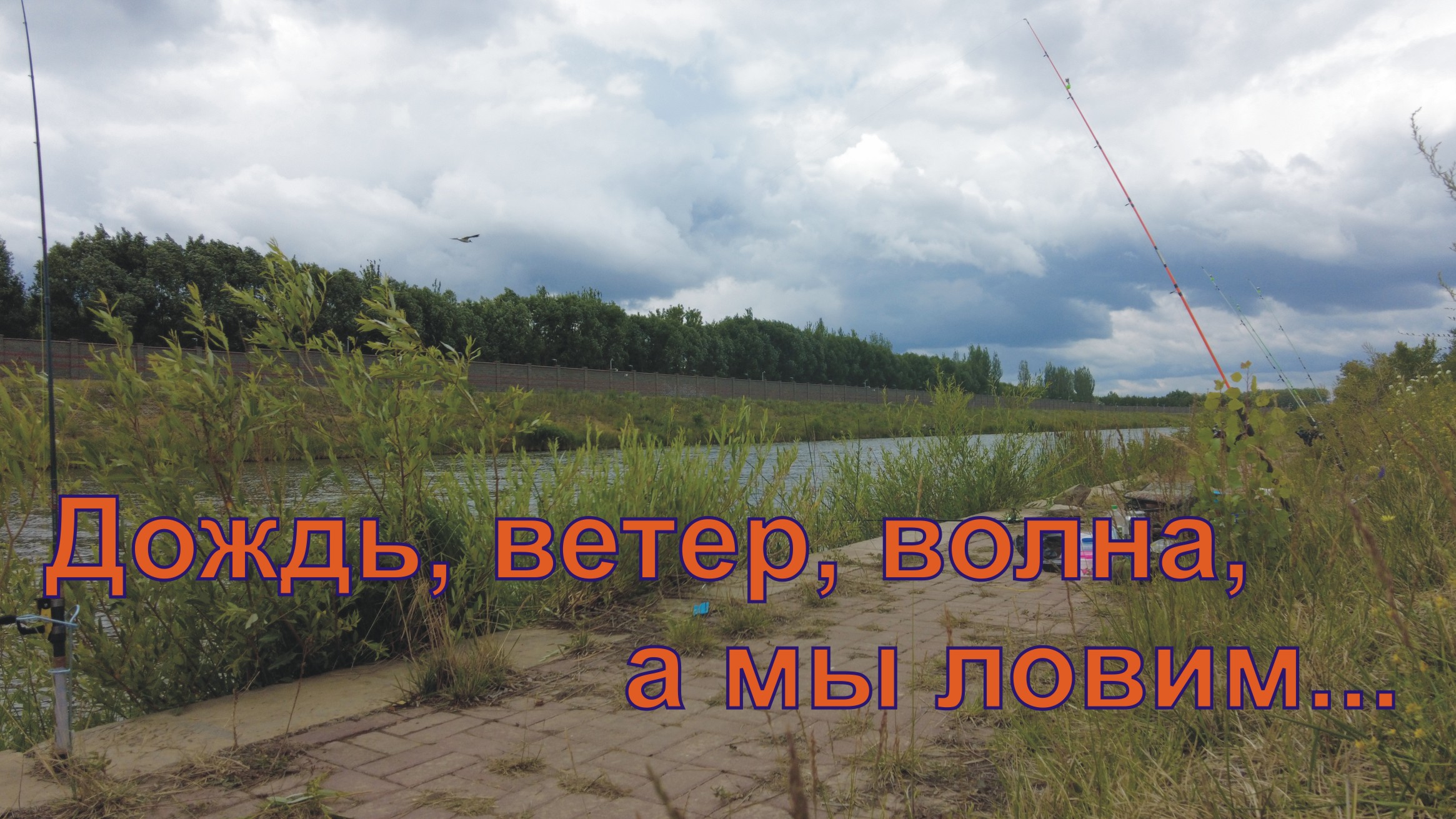 ДОЖДЬ, ВЕТЕР, ВОЛНА, а мы на Ишиме с 4 утра, ловим крупную Плотву, Лещей и Окуней.