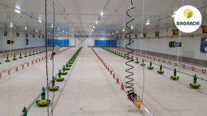 Газовые теплогенераторы для отопления птицефабрики | Обзор птичника | Оборудование SAGRADA