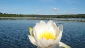 Дикая природа Пермского края.