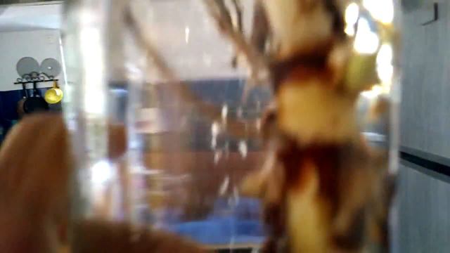 Some plants growing in water and some more... смотреть онлайн