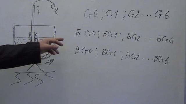 Лекция по дисциплине 
