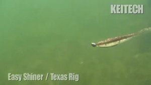 Keitech Easy Shiner  Ловля на джиг  Техасская остастка