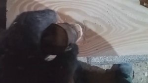 Как заделать дефектные сучки в древесине