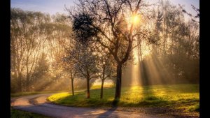Spring - The four seasons - Antonio Vivaldi