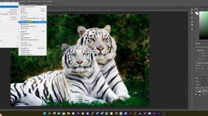 Как ОБЕСЦВЕТИТЬ (Сделать чёрно-белым) часть\полное ИЗОБРАЖЕНИЕ\ФОТО в Adobe Photoshop