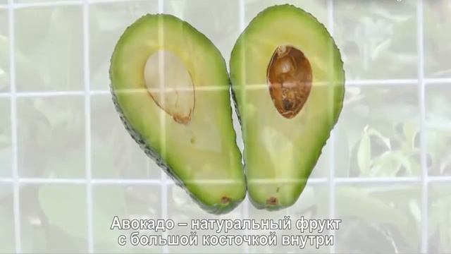 Как выглядит Авокадо (Persea Americana).