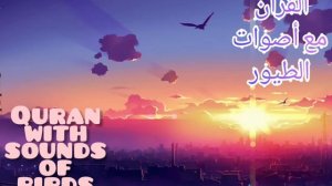 "Коран со звуками птиц"  "القرآن مع أصوات الطيور"  "Quran with sounds of birds". Сура 55《ар-Рахман》