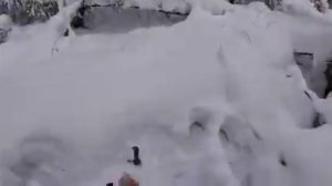 Как выжить в тайге зимой
