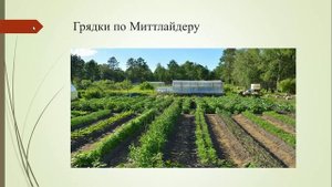 «Планировка огорода – секреты хорошего урожая»