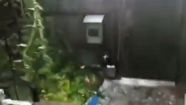 Град в Зеленчукской