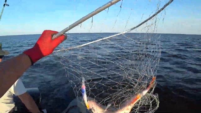 Рыбалка 2021 Идем за трофейными щуками и окунем смотреть онлайн