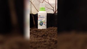 Удобрение комплексное жидкое Белвито для голубики.