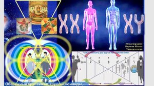 «СЕМЕЙНЫЙ ПЕРЕПОЛОХ». 7 шагов в новую жизнь от домохозяйки до успешного лидера. Родительская модель