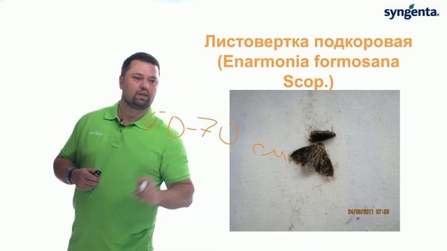 Чешуекрылые вредители сада