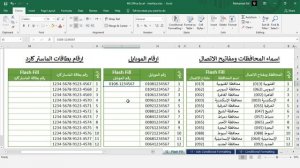 12 - تعلم الاكسل | برنامج Excel 2016 | التعبئة السريعة - Flash Fill