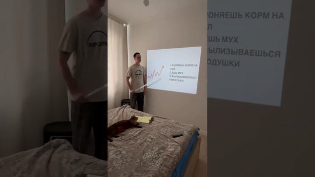 Наглядная презентация