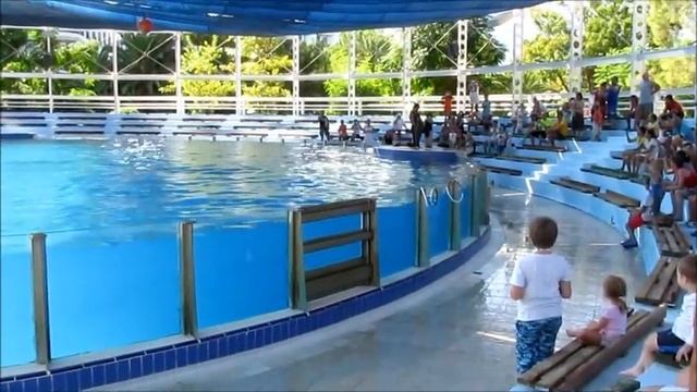 Посещение дельфинария в Кемере смотреть онлайн