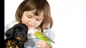Обязанности по уходу за питомцами у детей
