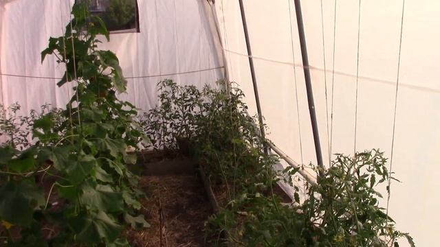 Электрический водяной насос . 12в. 800л/ч. смотреть онлайн