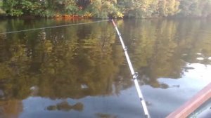 Троллинг в Разнежье. Казанка+ Mercury 15M