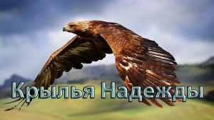 Крылья НАДЕЖДЫ*