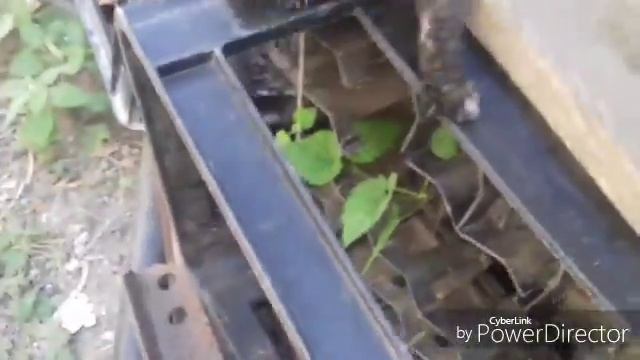 Игривые котята 2 смотреть онлайн