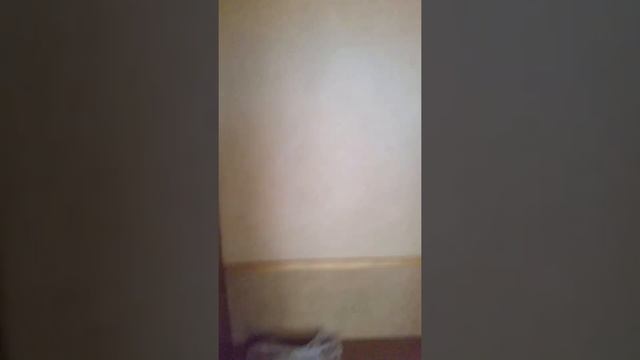 Беларусь Мебель на Монплезере