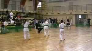 Ката Пинан 2 на России-2010