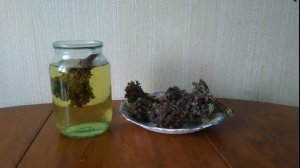 Чабрец. Как я завариваю и пропиваюсь