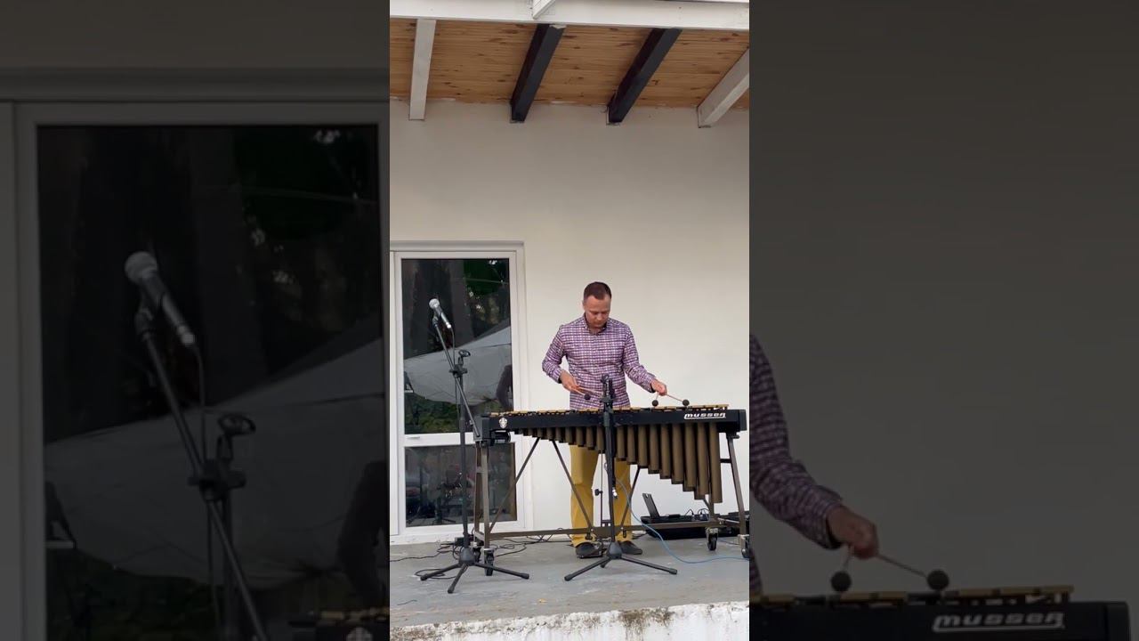 Волшебный вибрафон - Анатолий Текучёв (5) смотреть онлайн