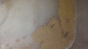 Порошок от клопов и тараканов, о котором мало кто знает. Тест диатомита