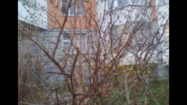 Пробуждение природы апрель 2014 смотреть онлайн