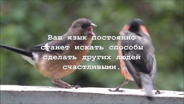 Благословения: «Контролируемый язык» | Божьи обетования из Библии