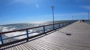 акулы и балтийское море.