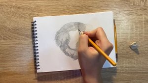 Как нарисовать мех карандашом | Рисунок для начинающих поэтапно
