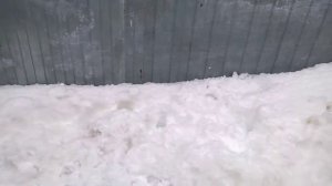 Сравнение манометров Berkut Adg-031 и Агрессор